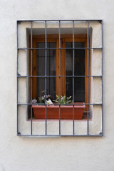 Obraz premium Window with bars and a pot of plants