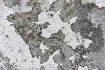 Texture of the cracked plaster