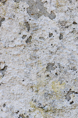 Texture of the cracked plaster