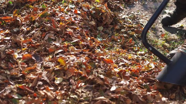 Cleaning the autumn leaves with a leaf blower in slow motion 180fps