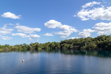 cenote blue bacalar (lagoon of the seven colors) Quintana Roo Mexico