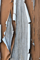 Fototapeta na wymiar Texture of peeling wood paint.