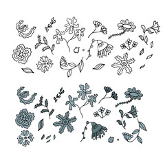 Doodle floral elements for decor isolated on white. Vector illustration 