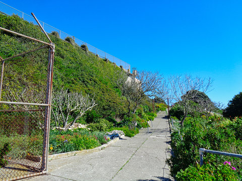 path to alcatraz island