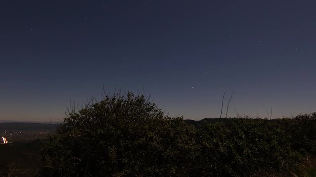 Star-lapse of shrubs and highway (motion)