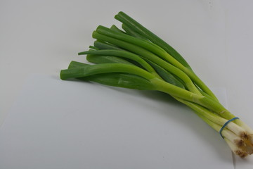 bundled, healthy and green spring onions on a white background
