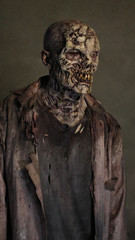 Decayed Zombie