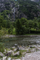 Walking in the forest on the mountain