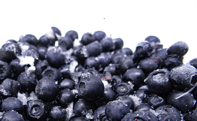 frozen blueberries isolated on white with ice 