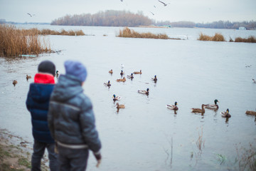 Children look at the ducks that swim in the river