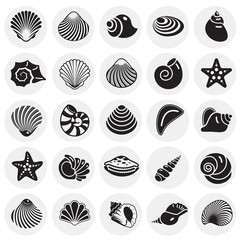 Sea Shell icons set on circles background for graphic and web design. Simple vector sign. Internet concept symbol for website button or mobile app.