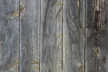 texture of old gray wood