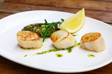 Portion of grilled scallops on plate on table
