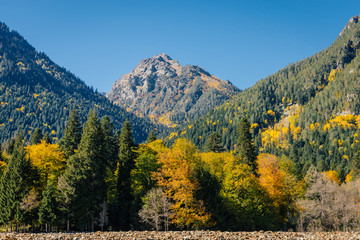 Mountain view in the fall, forest in the mountain gorge in the foreground and mountain in the background