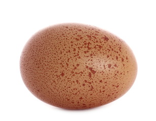 Egg isolated on white background
