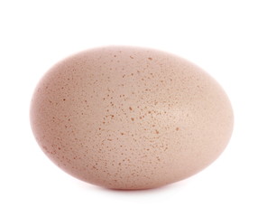 Egg isolated on white background