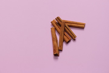 Cinnamon sticks on pink millennial background. It tastes and smells good. It's a popular condiment eaten by youngers and new restaurants