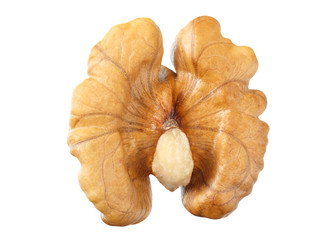 one walnut isolated on white background top view
