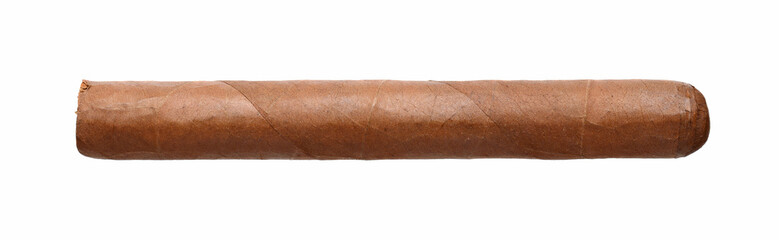 The big cuban cigar