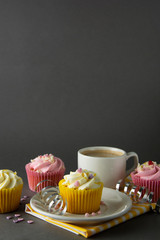 Chocolate cupcakes and coffee , breakfast with colorful cupcakes. Gray background. Sweet dessert. Copy space.