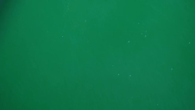 Rain falling on the green screen -  Bubbles . Chroma key background. Slow Motion