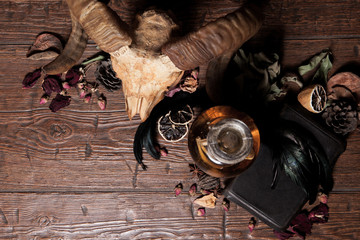 Vintage witchcraft still life with snake cobra and skull.