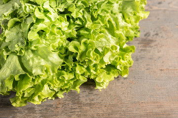Green oak lettuce on wooden table 