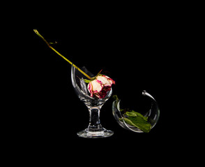 broken glass and flower on black background