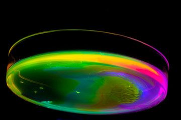 Neon chemistry
