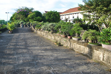 Allée de bonzaï