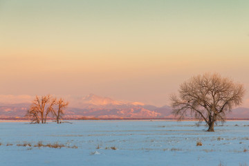Snowy field with Longs Peak in the distance, taken in the Rocky Mountain Arsenal Wildlife Refuge, Colorado, USA.
