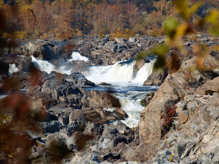 Great Falls Virginia