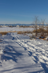 Fototapeta na wymiar Bench next to snowy path, Rocky Mountain Arsenal, National Wildlife Refuge, Colorado, USA.