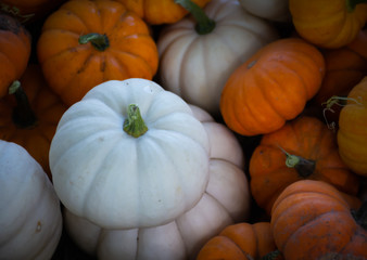 Stand Out From The Crowd