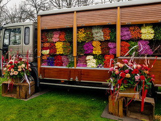 Colorful, full flower truck in Holland