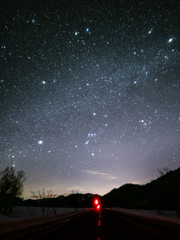 冬の森の星空