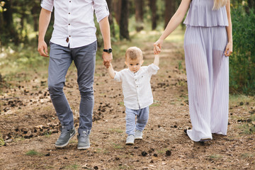 Fototapeta premium Happy young family spends time together in nature. Parents go and hold the child's hands