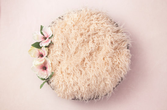 Cream Newborn Digial Backdrop for Photgraphers with Magnolia Blooms