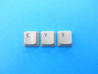 Computer buttons form a CYS (Check your settings) abbreviation. Computer and internet slang.