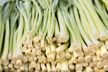 Vegetables and garlic and fresh scallion close