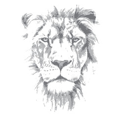 Lion head. Hand drawn vector illustration