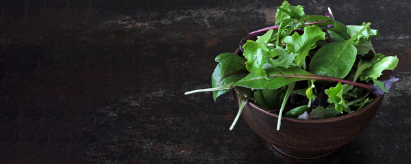 Obraz na płótnie Canvas Mixed salads in a bowl. Diet concept