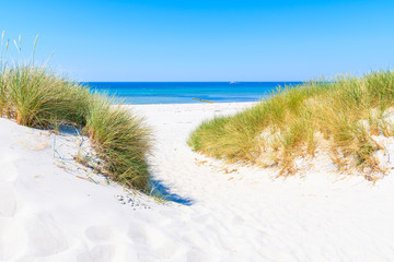 Fototapeta na wymiar Path to beach and sand dunes on Hiddensee island on sunny summer day, Baltic Sea, Germany