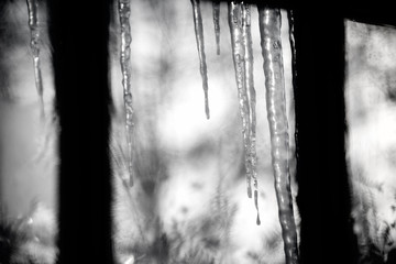Icicles handing outside of window in the cold winter