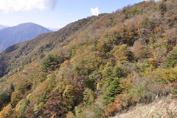 丹沢山地の紅葉に大室山