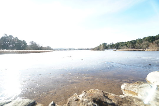 Frensham Small Pond