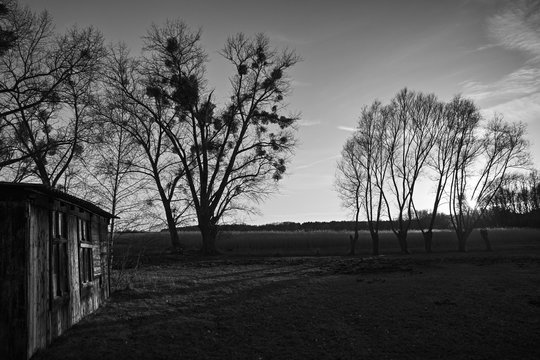 Altwarp am Oderhaff