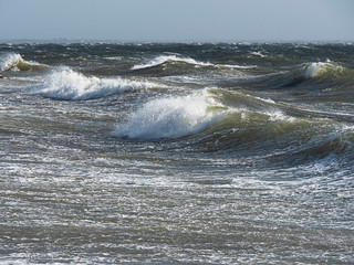Wave in a ocean, Concept: storm, nature power and danger.