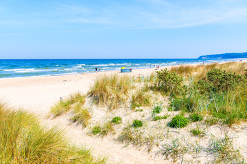 Fototapeta na wymiar Path to beach among sand dunes in Baabe coastal village, Baltic Sea, Germany