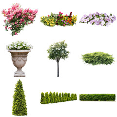 PlantsClipping